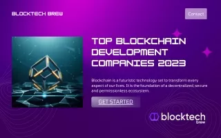 Hire top Blockchain App Development Company | Blocktech Brew