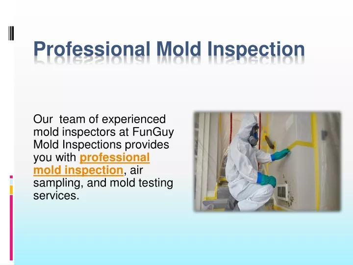 professional mold inspection