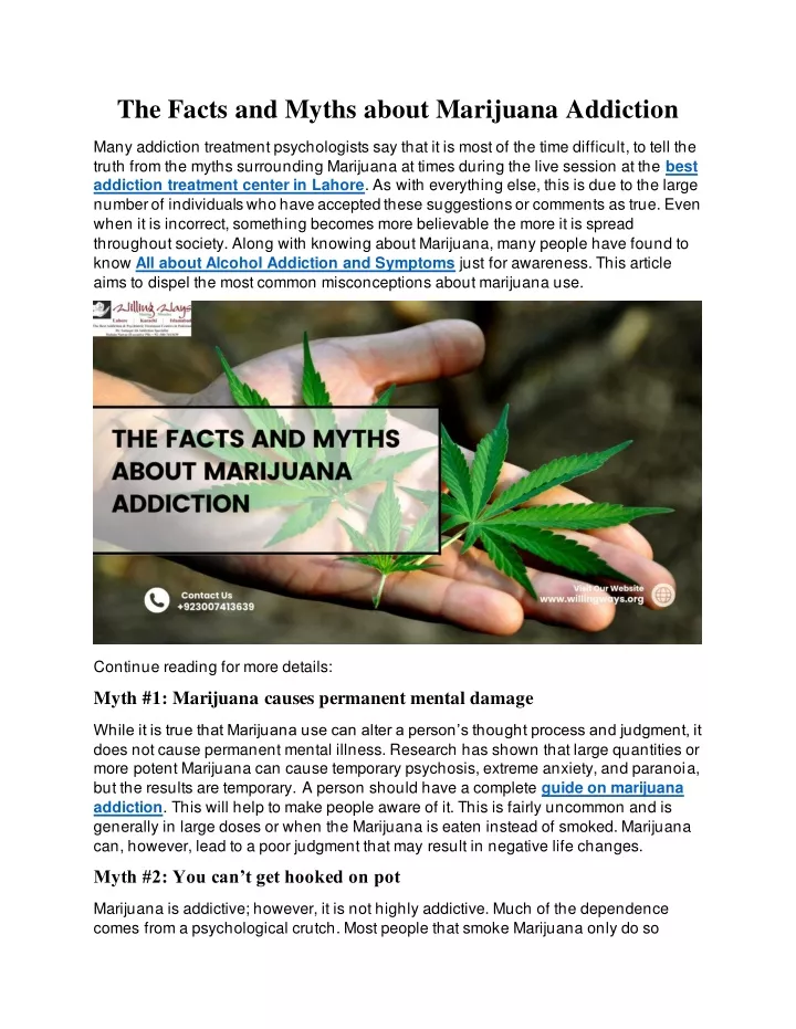 the facts and myths about marijuana addiction
