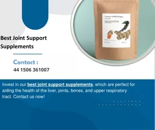 Best Joint Support Supplements