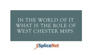 IN THE WORLD OF IT WHAT IS THE ROLE OF WEST CHESTER MSPS _