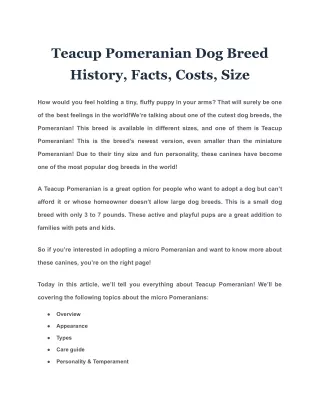 Teacup Pomeranian Dog Breed History, Facts, Costs, Size