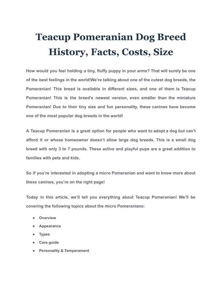 teacup pomeranian dog breed history facts costs