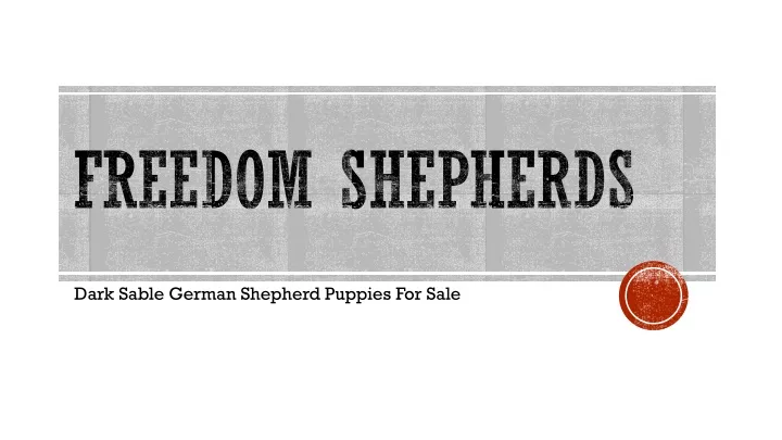 freedom shepherds