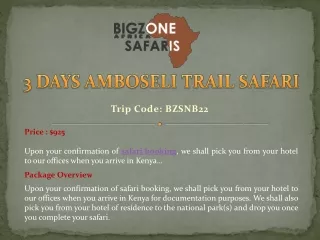 3 DAYS AMBOSELI TRAIL SAFARI