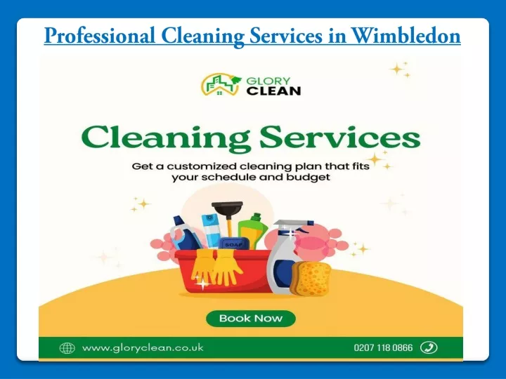 professional cleaning services in wimbledon