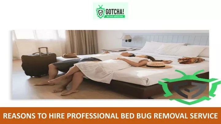 reasons to hire professional bed bug removal