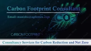 consultan cy serv ices for c arbon reducti on and net zero