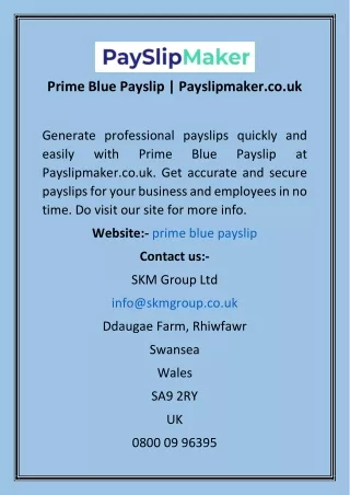 Prime Blue Payslip  Payslipmaker.co.uk