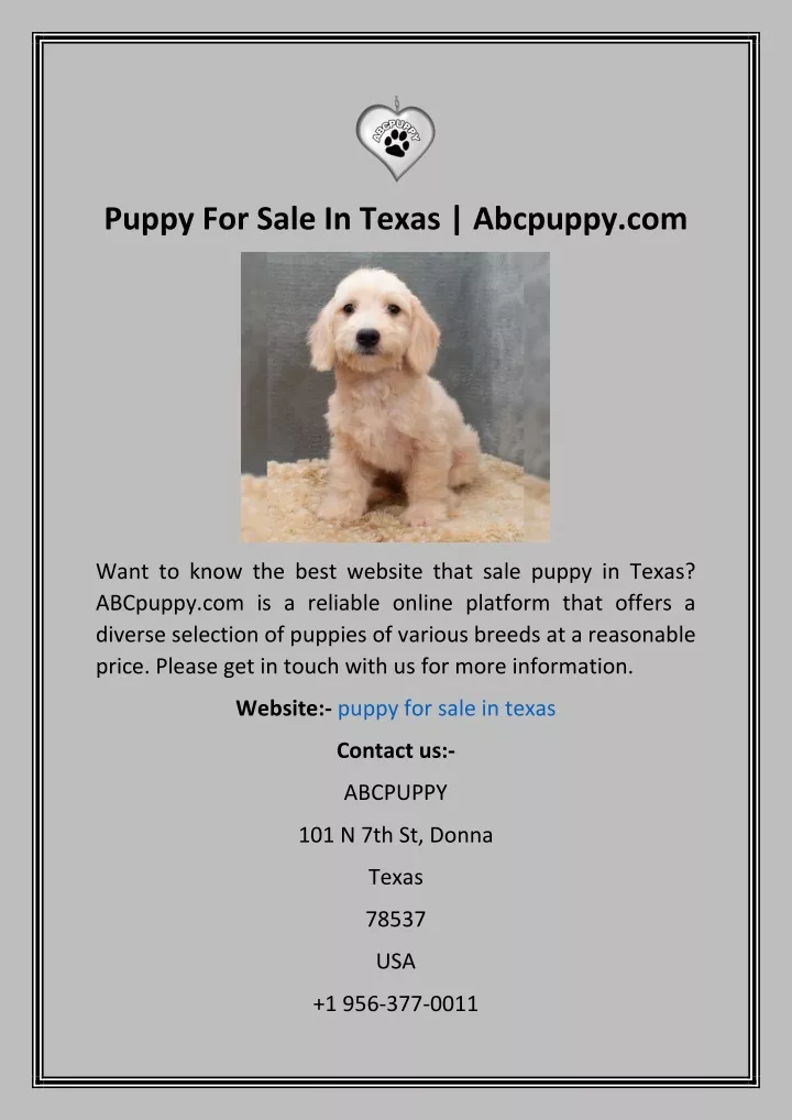 puppy for sale in texas abcpuppy com