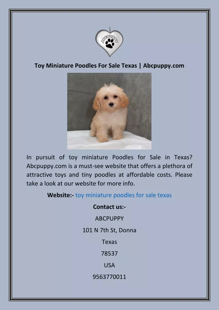 toy miniature poodles for sale texas abcpuppy com