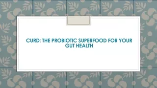 Curd The Probiotic Superfood for Your Gut Health