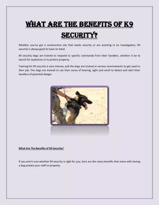 SSTC What is K9 security