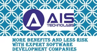 More Benefits And Less Risk With Expert Software