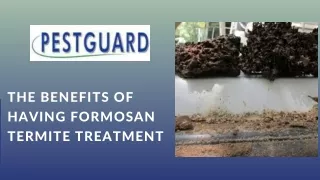 The Benefits Of Having Formosan Termite Treatment - Pestguard