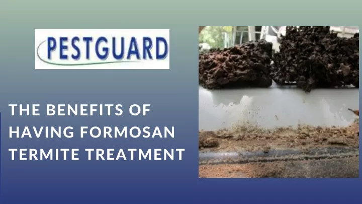 the benefits of having formosan termite treatment