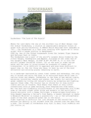 sunderbans