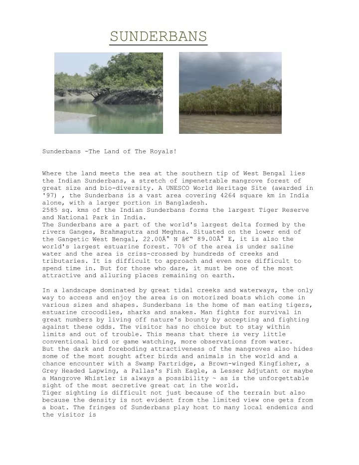 PPT - Sunderban National Park PowerPoint Presentation, free download ...