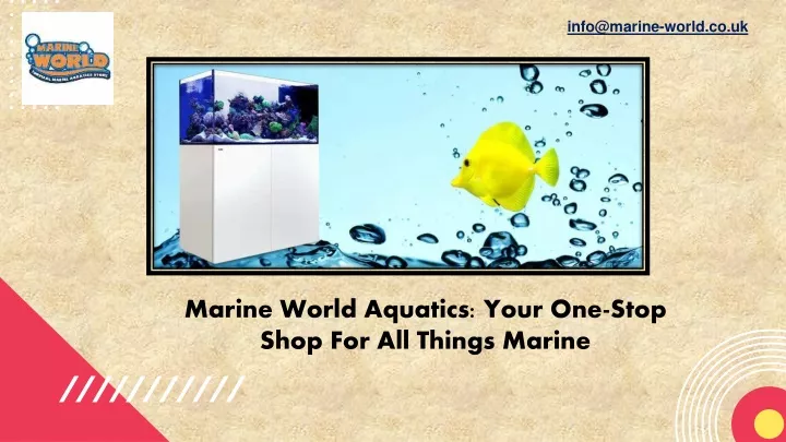 info@marine world co uk