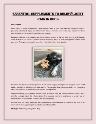 Essential Supplements to Relieve Joint Pain in Dogs