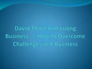 David Thien Anh Luong Business — How to Overcome Challenges in A Business