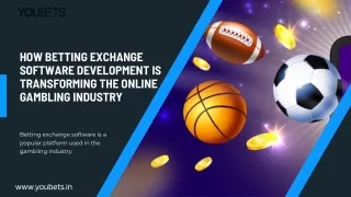 Betting Exchange Development Company