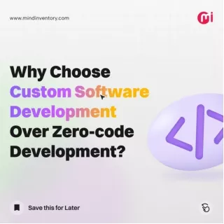 Why Custom Software Developemnt Over Zero-code Development