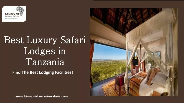 best luxury safari lodges in tanzania