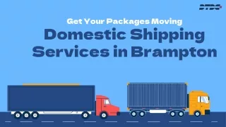 Get Your Packages Moving Domestic Shipping Services in Brampton