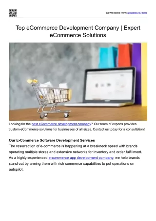 Top eCommerce Development Company | Expert eCommerce Solutions