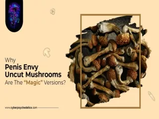 Why Penis Envy Uncut Mushrooms Are The “Magic” Versions