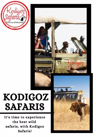 Best Luxury Tanzania Safari Tours for family - Kodigoz Safaris