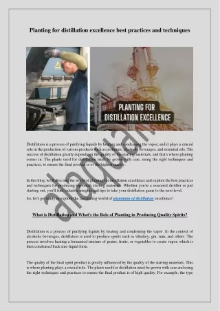 planting for distillation excellence best