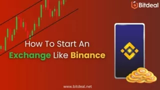 Things to Consider Before Starting an Exchange Like Binance - Bitdeal
