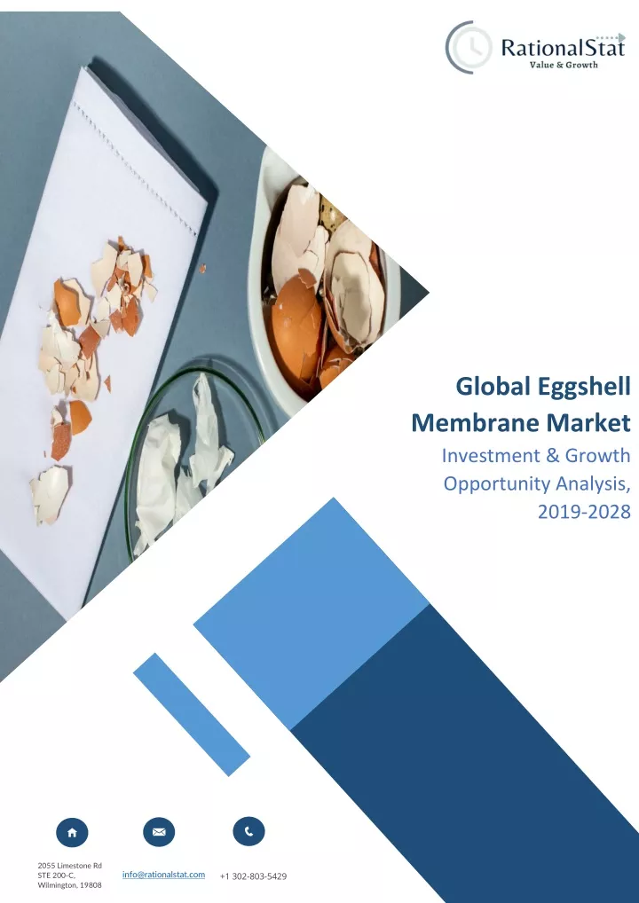 global eggshell membrane market investment growth