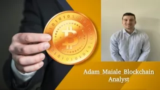 Adam Maiale Blockchain Analyst
