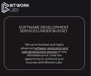 Bitworklabs  The Most Effective Software Development Service Provider