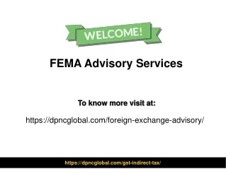 fema advisory services
