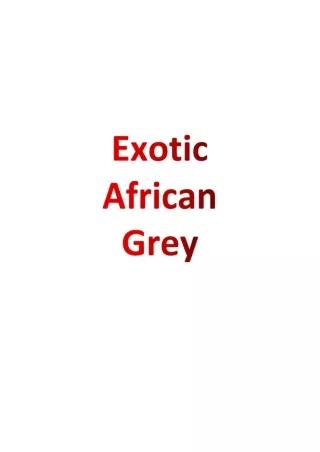 Exotic African Grey