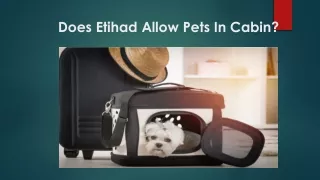 Does Etihad Allow Pets In Cabin