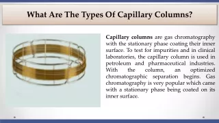 What Are The Types Of Capillary Columns