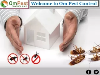 Get Best Pest Control Company in Odisha‎