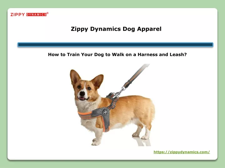 zippy dynamics dog apparel