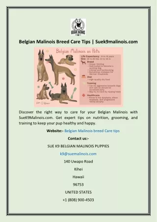 Belgian Malinois Breed Care Tips  Suek9malinois