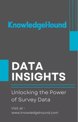 Mastering Data Insights - Strategies and Tools for Success