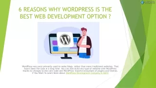WordPress Development Agency in delhi