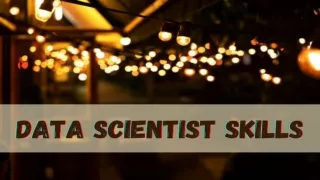 data scientist skills