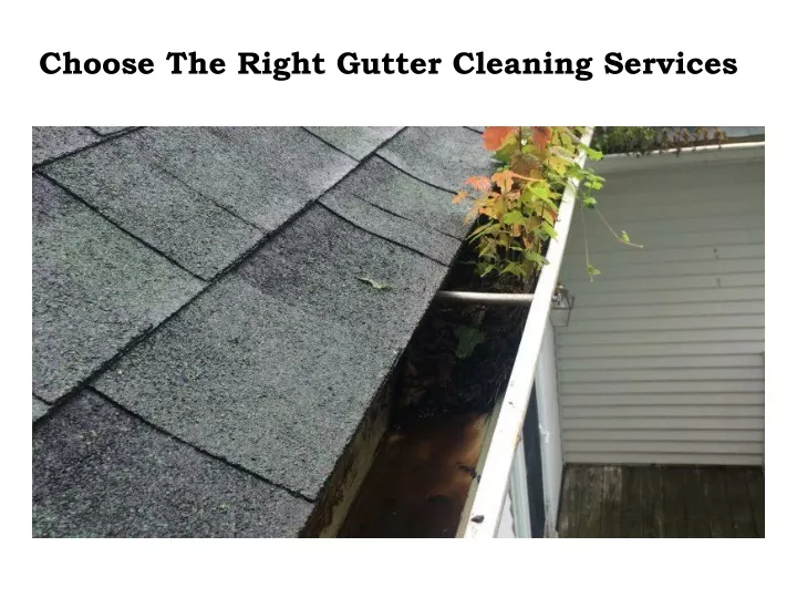 choose the right gutter cleaning services