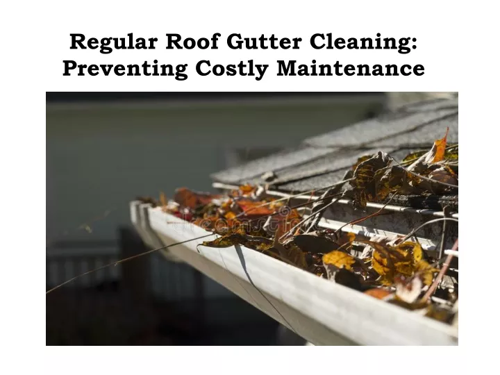regular roof gutter cleaning preventing costly maintenance