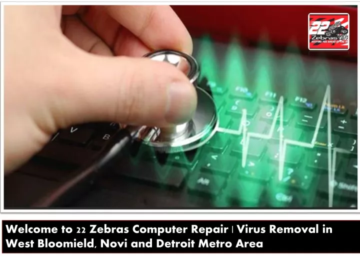 welcome to 22 zebras computer repair virus